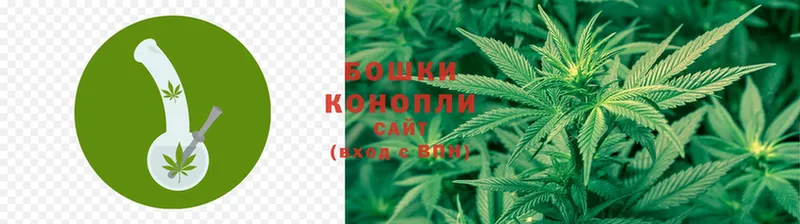 Бошки Шишки SATIVA & INDICA  Приморско-Ахтарск 